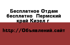 Бесплатное Отдам бесплатно. Пермский край,Кизел г.